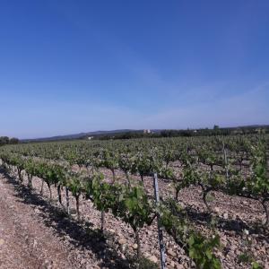 Vents d'Anges photo 6
