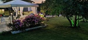 Guesthouse Kamelia