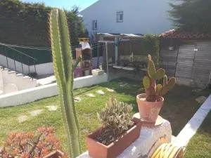 Casa Dos Cedros - Setúbal