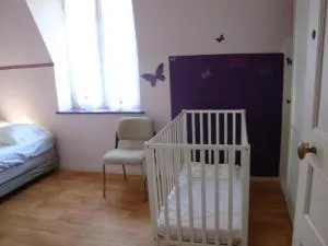 chateau du ponthereau - Graçay