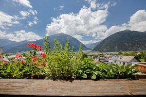 Ferienwohnungen Ortlerblick