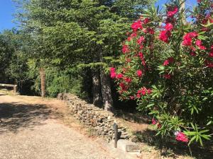 Maisons de vacances Hebergements des POSAS : photos des chambres