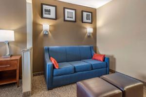 King Suite - Non-Smoking room in Comfort Suites Terre Haute University Area
