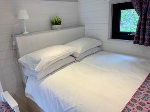 Shepherds Hut at Wern Mill