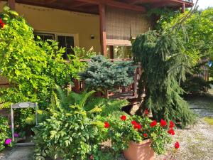 Apartament Malinowa Dolina