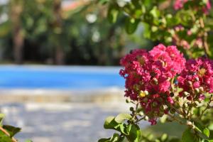 Apartments Vila Marinela