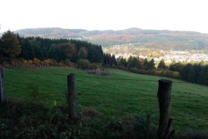 Maisons de vacances Maison independ. 6 personnes a 10 mn de Gerardmer : photos des chambres