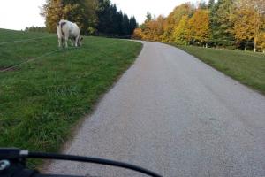 Maisons de vacances Maison independ. 6 personnes a 10 mn de Gerardmer : photos des chambres