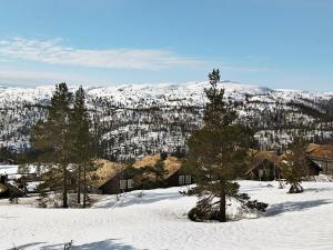Two-Bedroom Apartment room in Two-Bedroom Holiday home in Åseral 2