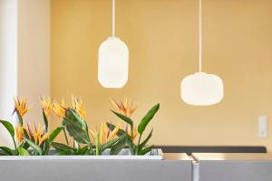 Glücksferien- Sonnenhut