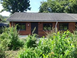 Into the woods - Gênes