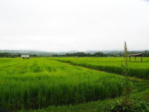 Doi Samoe Dao Hostel