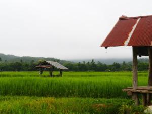 Doi Samoe Dao Hostel