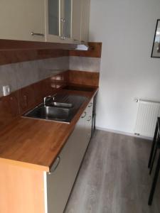 Apartma Alja Podkoren 