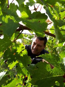 Maisons de vacances Bulle de campagne a Saint Benoit la Foret : photos des chambres