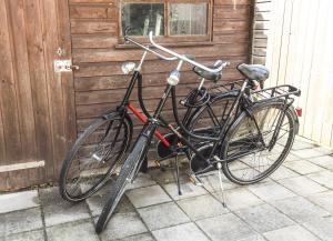 Diemer 6