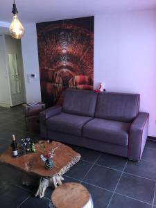 Appartements Le Riesling Colmar All inclusive Free parking : photos des chambres