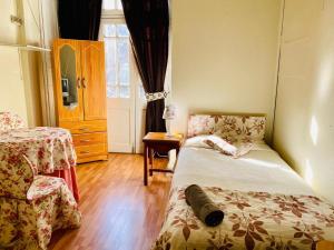 Hostal Plaza Londres 77