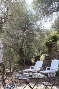 Il Cavedano Innamorato