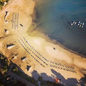 Luxury Suites Bellevue