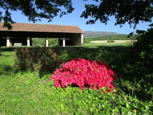 B&B / Chambres d'hotes domaine des CHABRIERS : photos des chambres