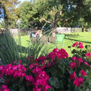 Apartamenty Dom Ogrodnika