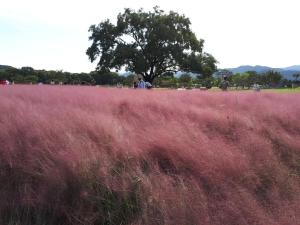 Dorandoran Guesthouse