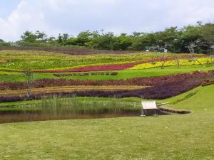 Vimala Hill villa and resort - 3 bedrooms