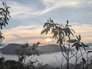 Big Măng Đen Homestay