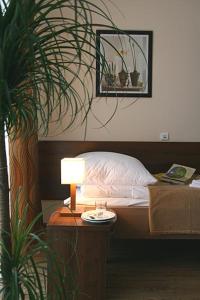Double Room with Balcony room in Sanatorium Stefan