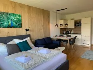 Alpenblick Suite - Steinach