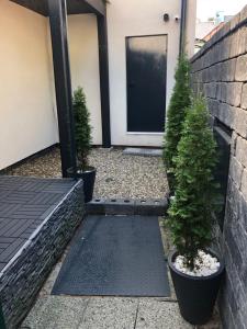 Apartmán v centre Michaloviec