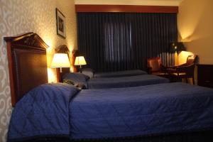 Deluxe Triple Room room in Downtown Hotel