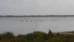 Mobil home Vic la Gardiole - Cournonterral