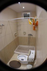 Economy Quadruple Room room in Louiza Apartments