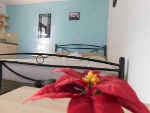 Ag.apostoloi studios Evia Greece
