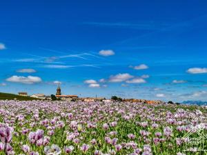 Casa Rural Cerro de Mirabel