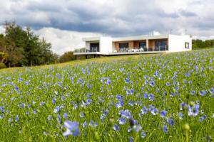 Maisons d'hotes Les Gites du Cap Cod : photos des chambres