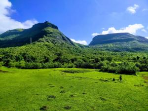 Dew Drops Boutique Retreat