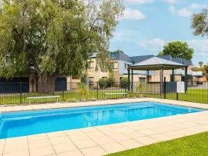 Penguins by the Beach - Somers