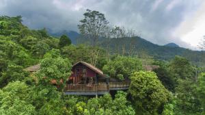 Vythiri Mist Resort