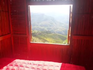 Indigenous homestay- Trek- Food- Bus