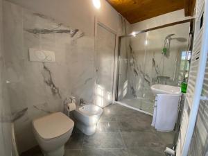 Bed and Breakfast La Volpe tra le Vigne