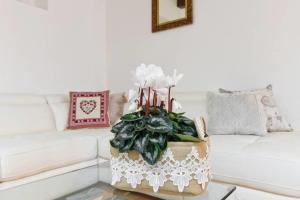 La Finestra su Trastevere - Appartamento 100 mq Centrale, Luminoso, Spazioso