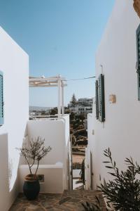 Alexandros Apartments Paros Greece