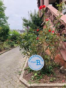 Ferienhaus Plan B. Wittlich