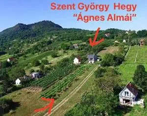 Ágnes almái Ágnes apples - 格拉克斯兹