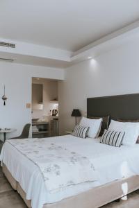 Alexandros Apartments Paros Greece