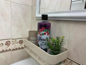 Cameron Highland Cozy Homestay