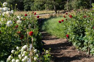 Vandrarhemmet Årås Säteri och Trädgårdar